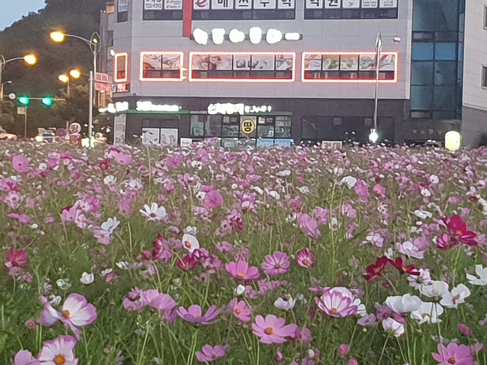 *#* 100% 건전샾에서 여자한국샘을 모십니다 *#*
