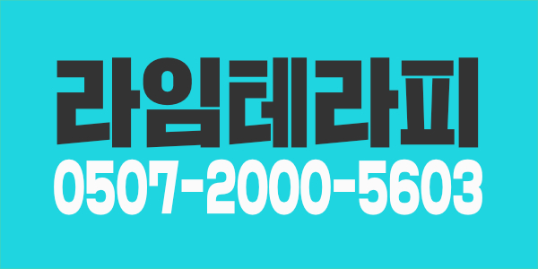 스웨디시선생님구합니다