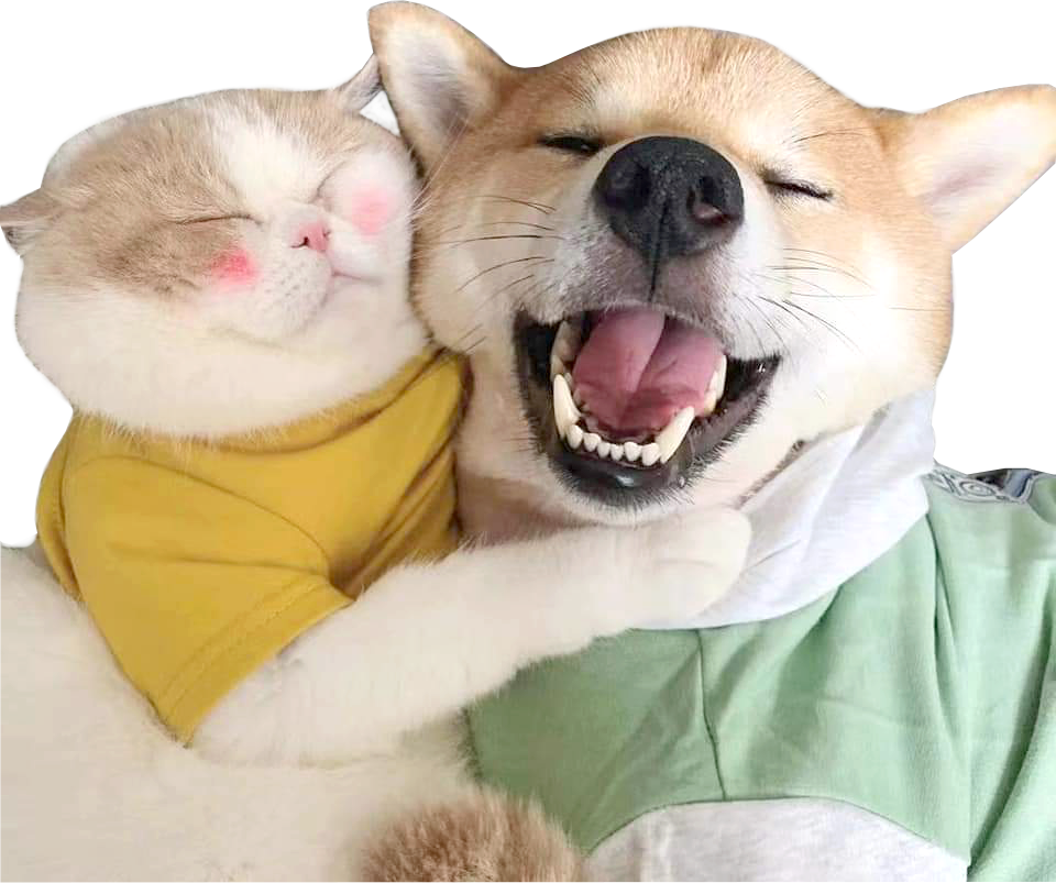 함께 하실 수 있는 테라피스트 초보.경력 모집★편히 쉴 수 있는 공간 ★꾸준한 콜
