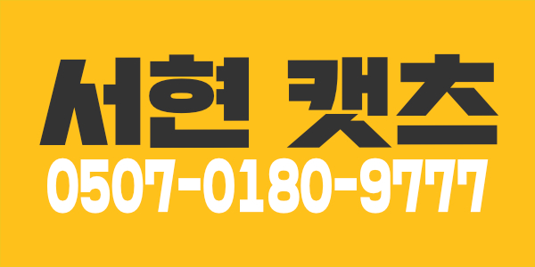 서현역 캣츠에서 주 야간 쌤 모집합니다^^ (22.12.8 신규오픈)