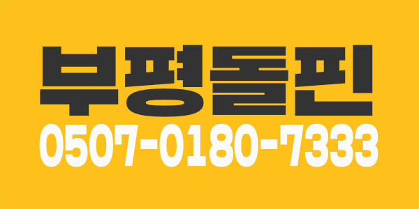 ️⏩️인천 1등️️️⭐️부평 돌핀️️️⏪️