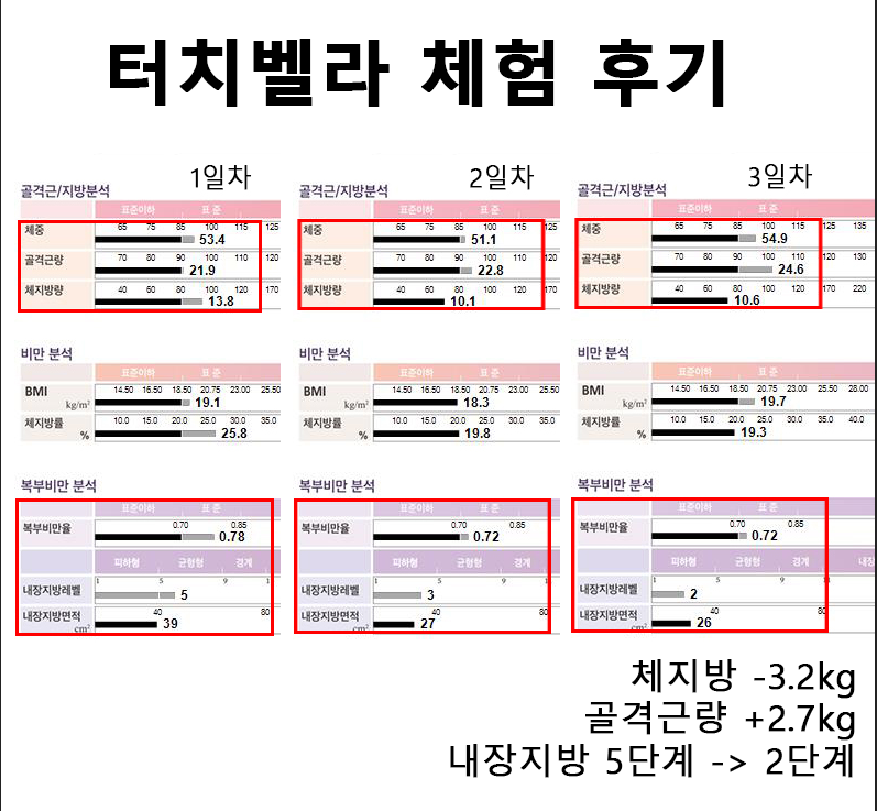 터치벨라 체온UP다이어트