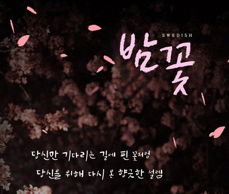 페이13 김포1인샵 밤꽃