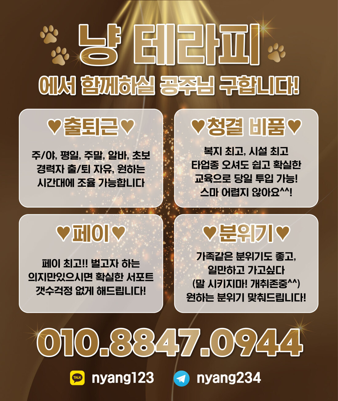 평택 냥테라피